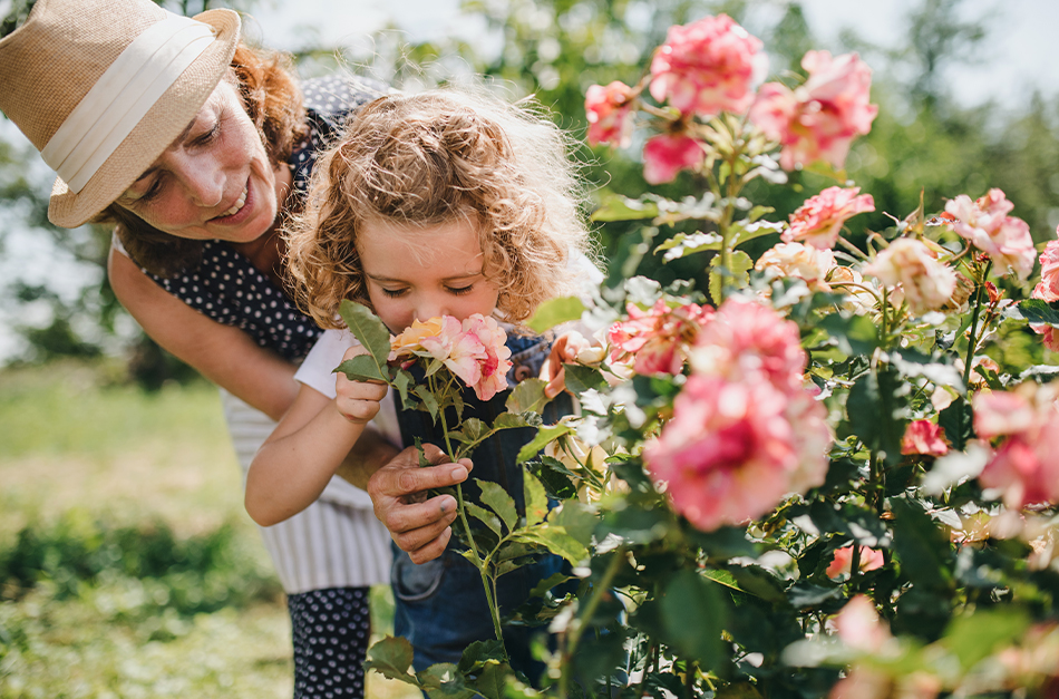 Best places to see flowers in San Francisco